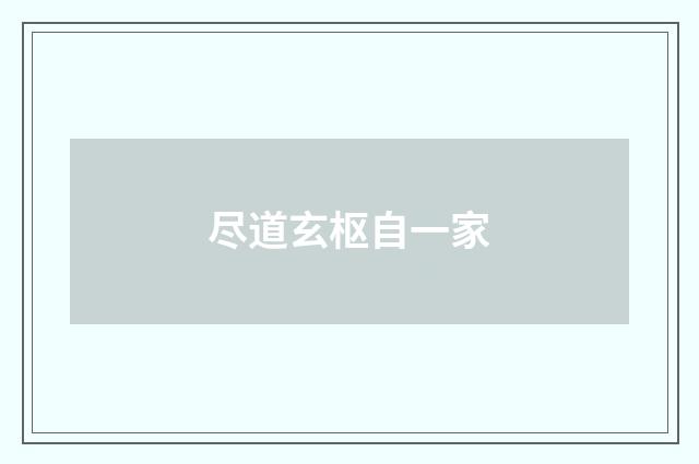 尽道玄枢自一家