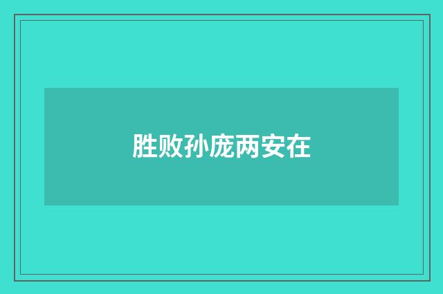 胜败孙庞两安在