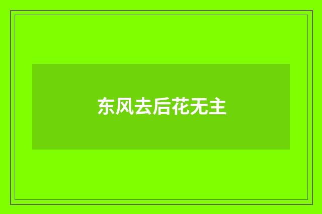 东风去后花无主