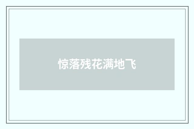 惊落残花满地飞