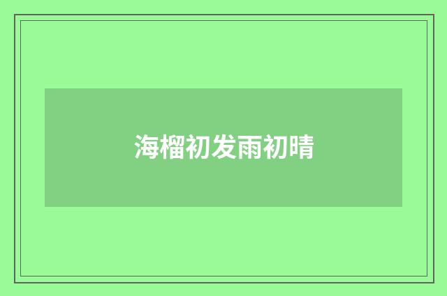 海榴初发雨初晴