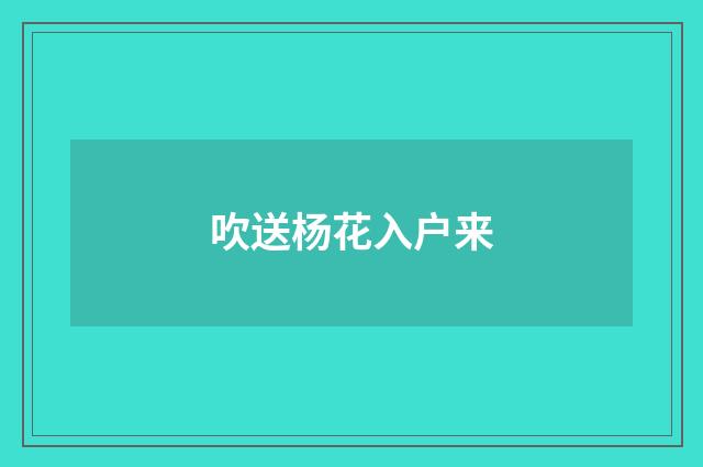 吹送杨花入户来