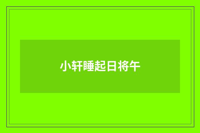 小轩睡起日将午