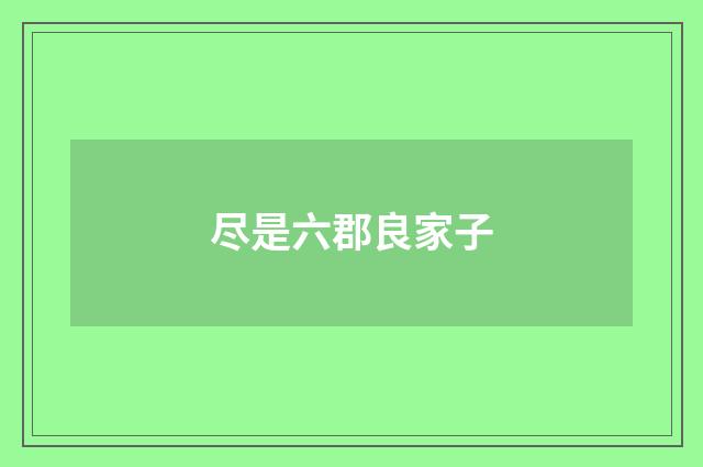 尽是六郡良家子