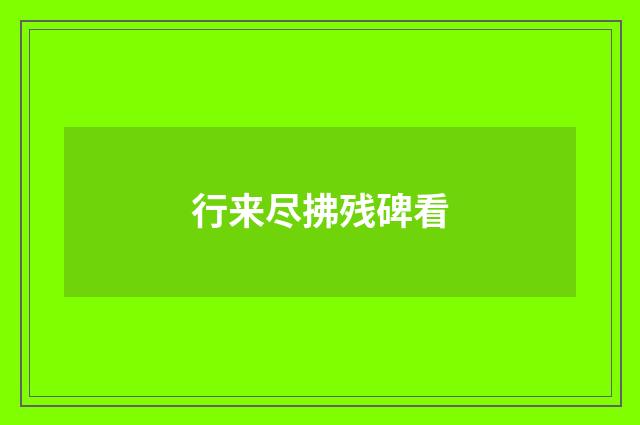 行来尽拂残碑看