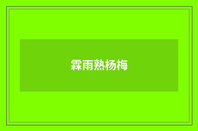 霖雨熟杨梅