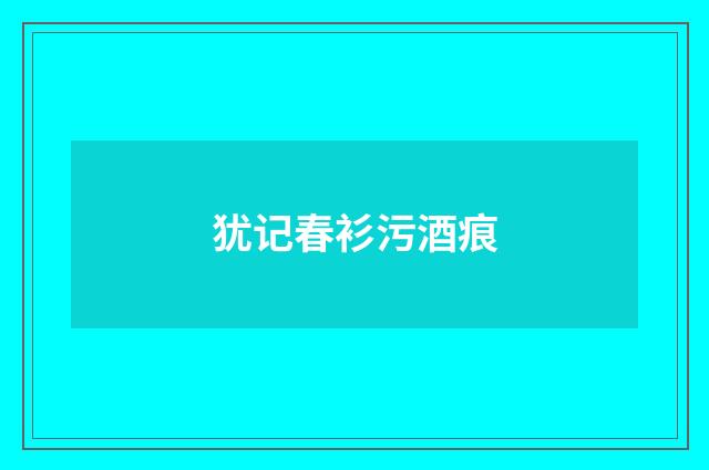 犹记春衫污酒痕