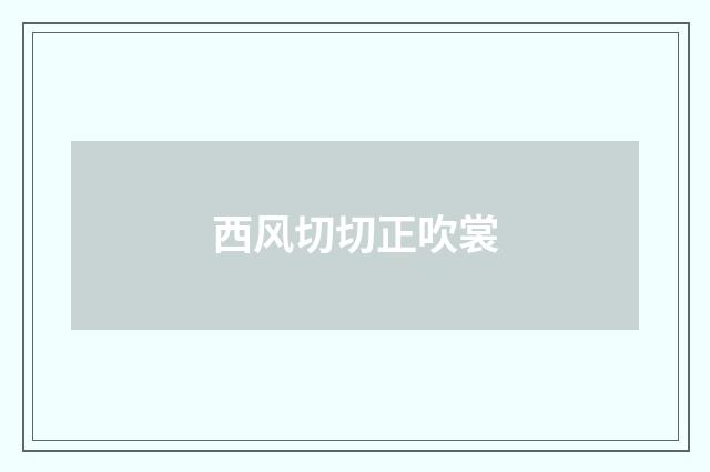 西风切切正吹裳