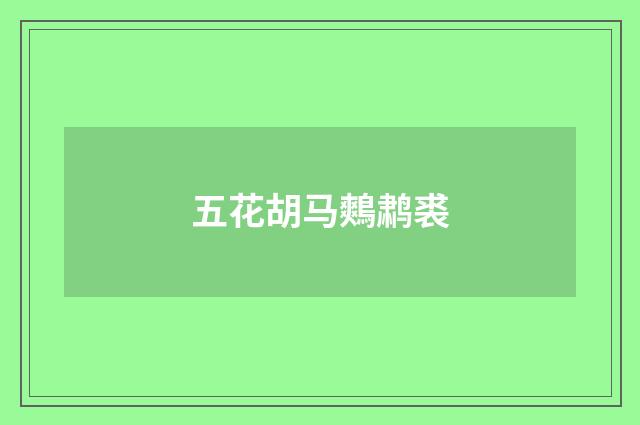 五花胡马鷞鹔裘