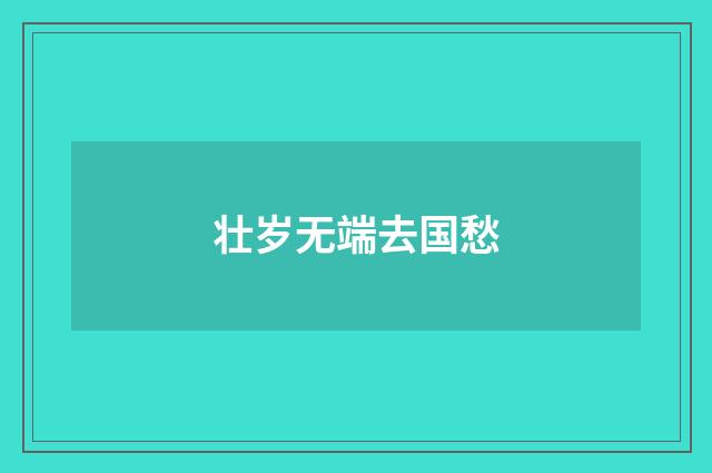 壮岁无端去国愁