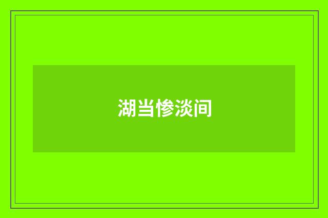 湖当惨淡间