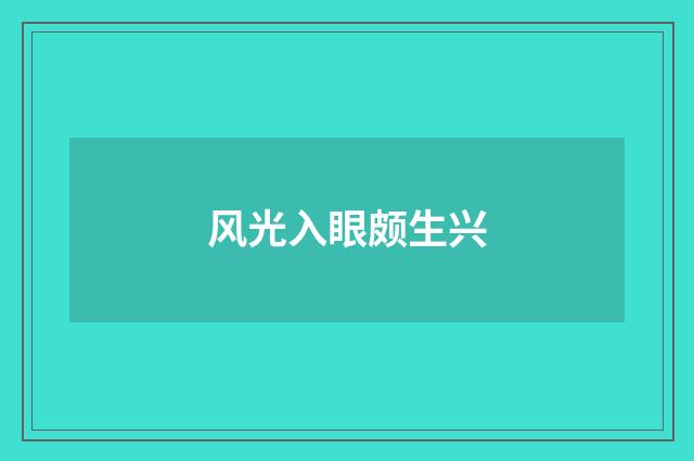 风光入眼颇生兴
