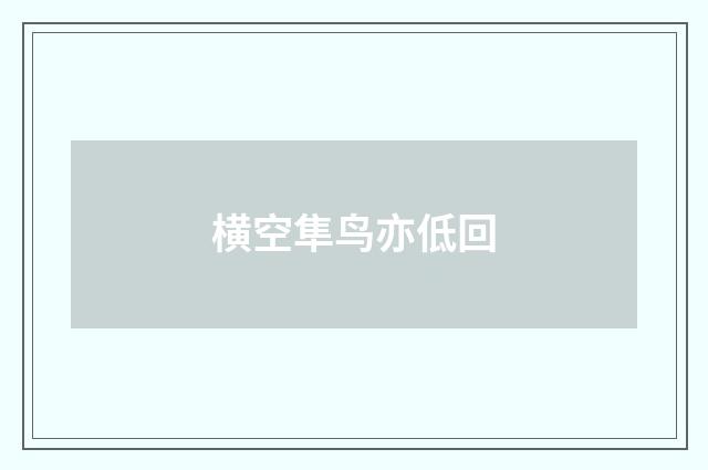 横空隼鸟亦低回