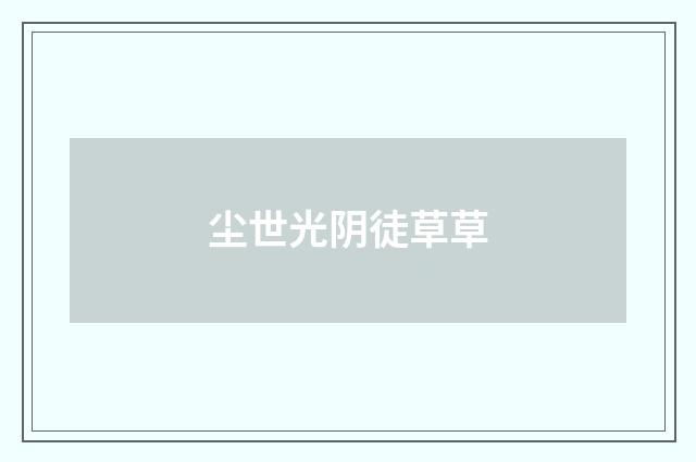 尘世光阴徒草草