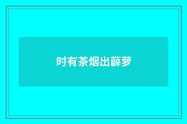 时有茶烟出薜萝