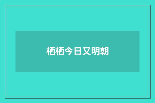 栖栖今日又明朝