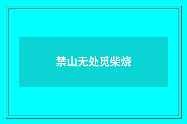 禁山无处觅柴烧