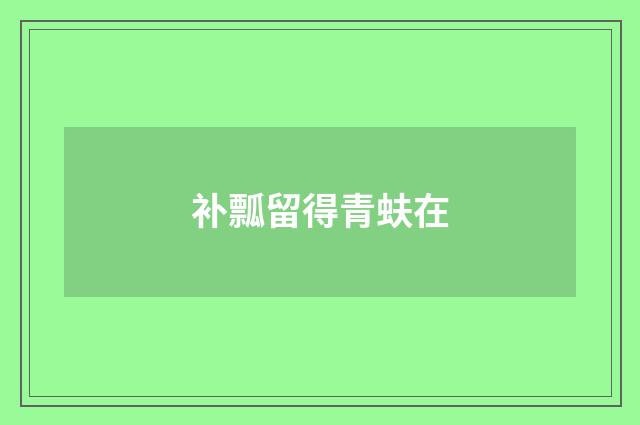 补瓢留得青蚨在