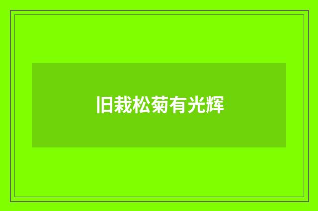 旧栽松菊有光辉