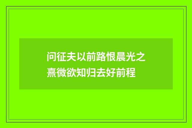 问征夫以前路恨晨光之熹微欲知归去好前程