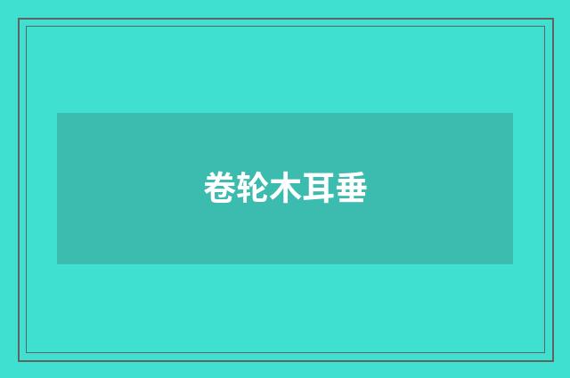 卷轮木耳垂