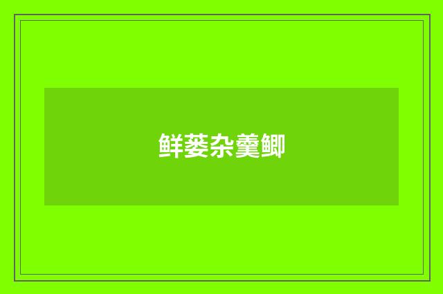 鲜蒌杂羹鲫