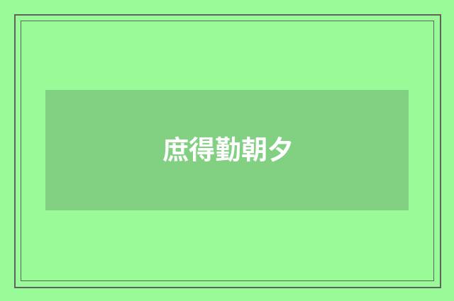 庶得勤朝夕