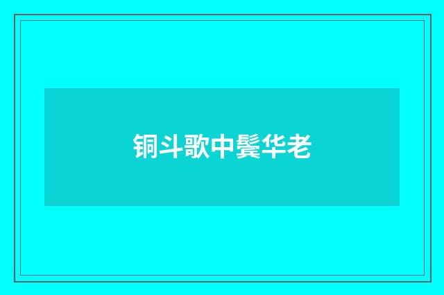 铜斗歌中鬓华老