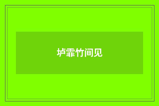 垆霏竹间见