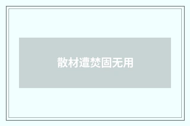 散材遭焚固无用