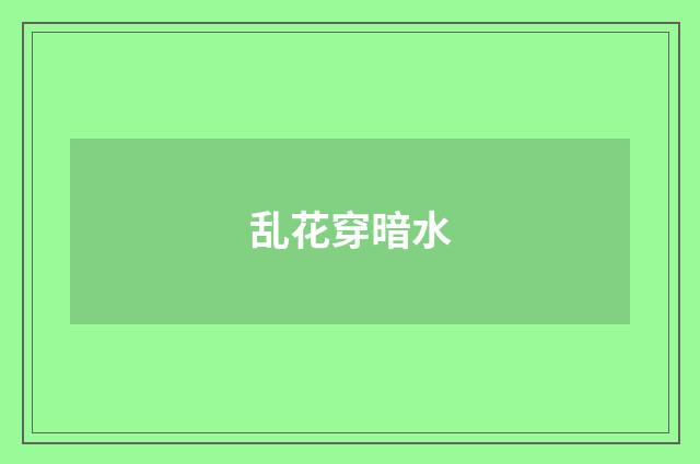 乱花穿暗水