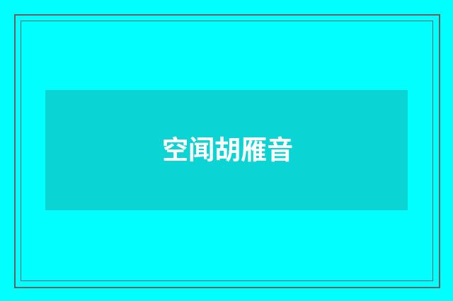 空闻胡雁音