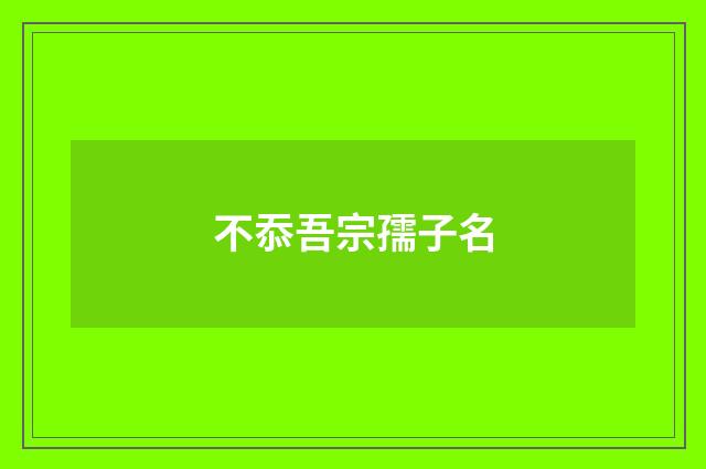不忝吾宗孺子名