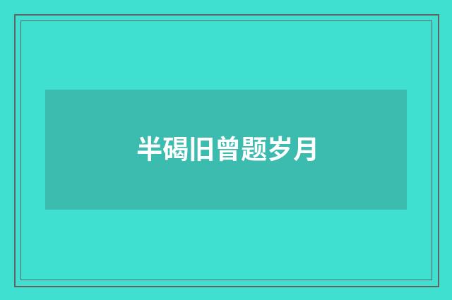 半碣旧曾题岁月