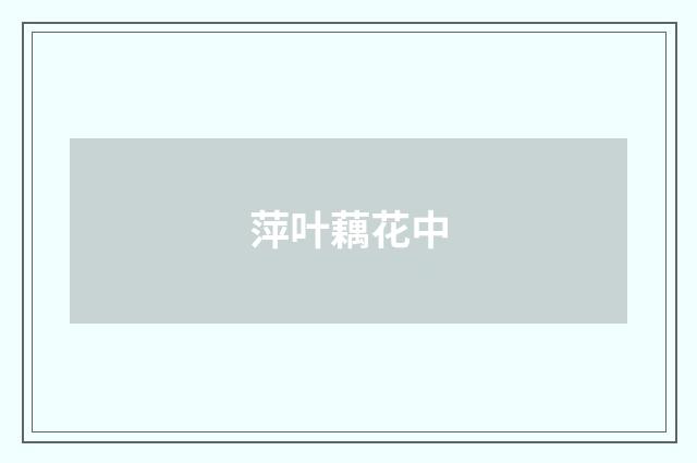 萍叶藕花中