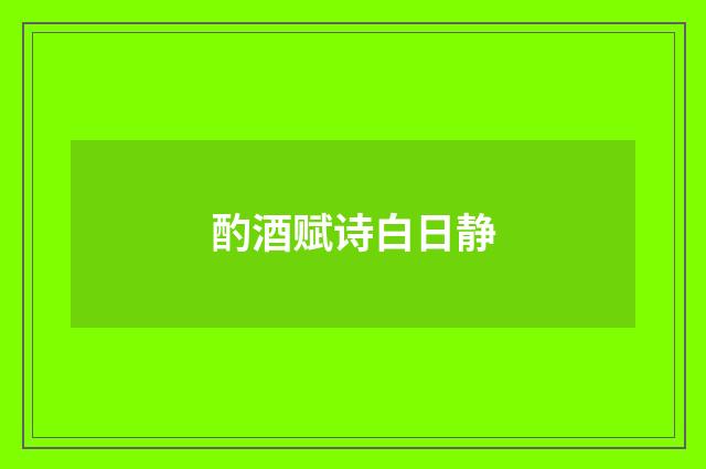 酌酒赋诗白日静