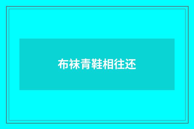 布袜青鞋相往还