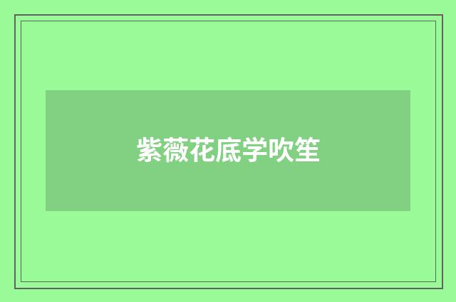 紫薇花底学吹笙