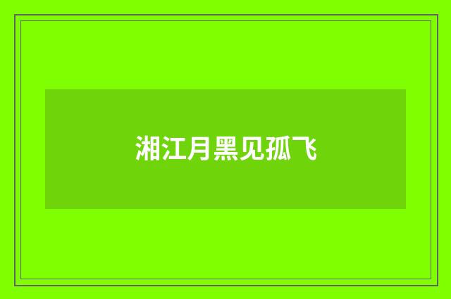 湘江月黑见孤飞