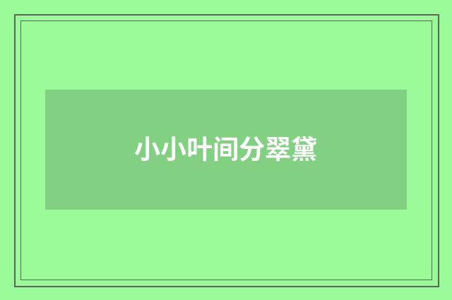 小小叶间分翠黛