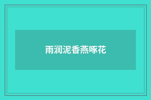 雨润泥香燕啄花