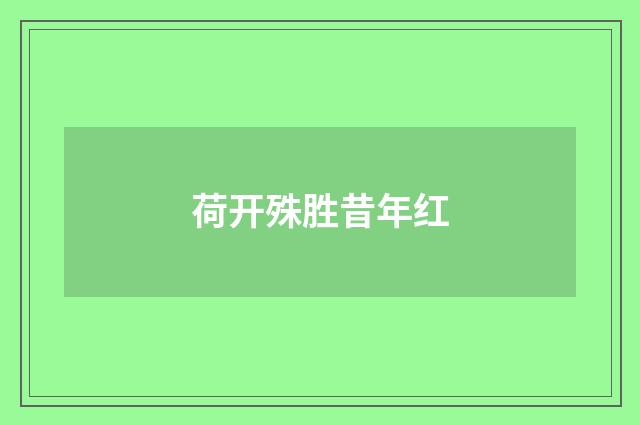 荷开殊胜昔年红