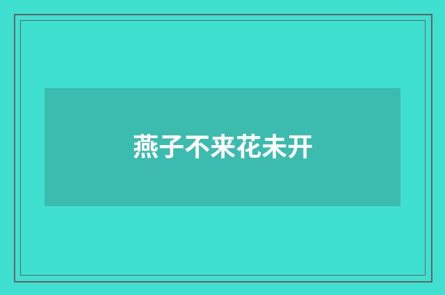 燕子不来花未开