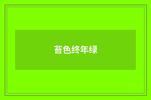 苔色终年绿