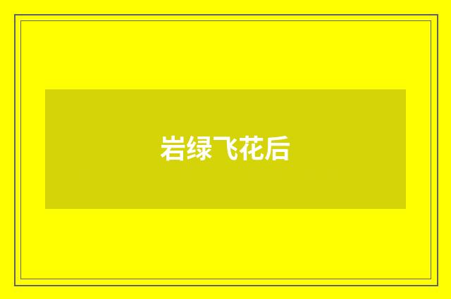 岩绿飞花后