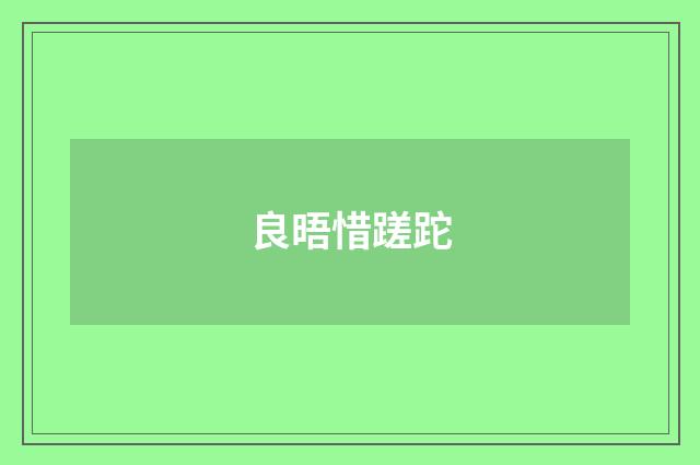 良晤惜蹉跎