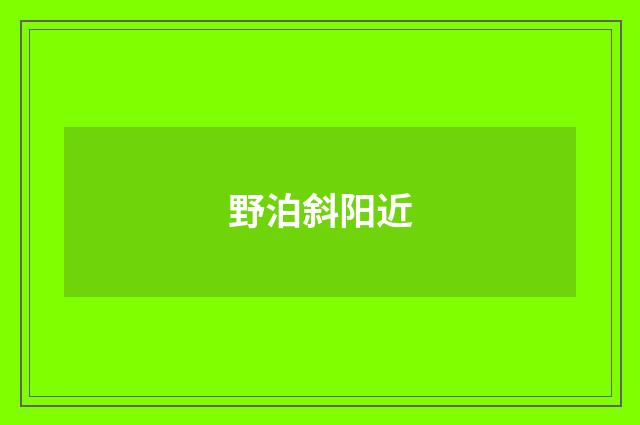 野泊斜阳近