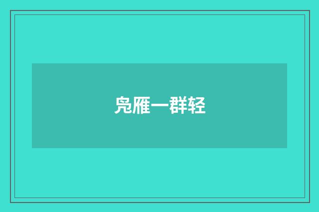 凫雁一群轻