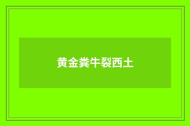 黄金粪牛裂西土