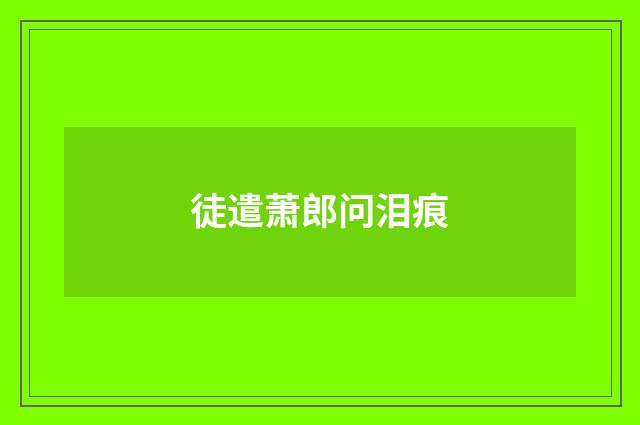 徒遣萧郎问泪痕